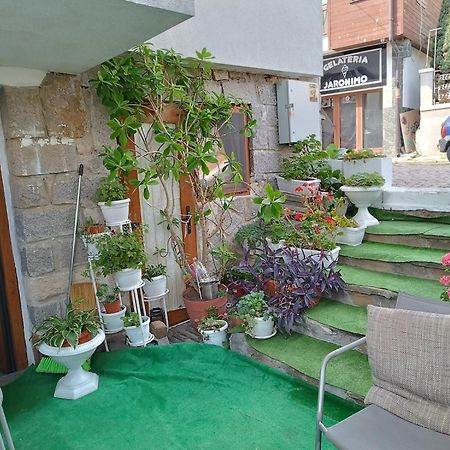 Farlalievi Guest House Sozopol Exteriér fotografie